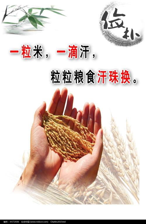莱切美术学院建筑学文凭证书
